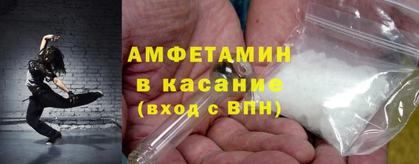 хмурый Пересвет