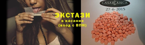 хмурый Пересвет