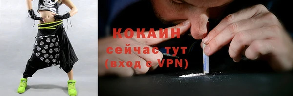 хмурый Пересвет