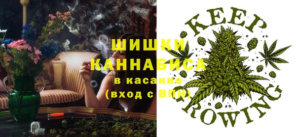 хмурый Пересвет
