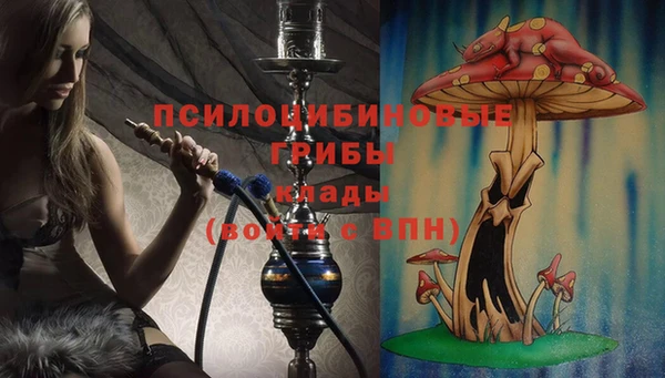 хмурый Пересвет