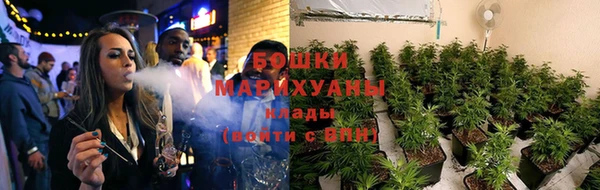хмурый Пересвет