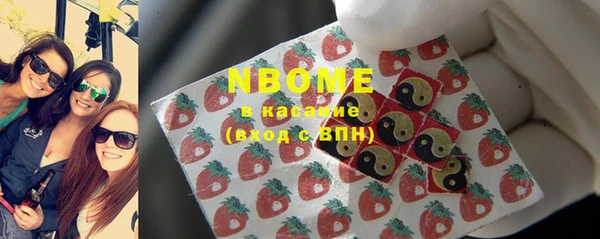 хмурый Пересвет