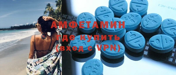 хмурый Пересвет