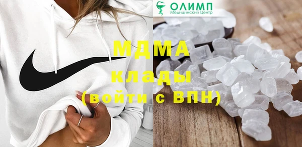 хмурый Пересвет