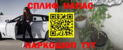 ГАЛЛЮЦИНОГЕННЫЕ ГРИБЫ Обь