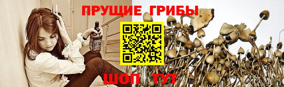 Галлюциногенные грибы MAGIC MUSHROOMS Шебекино